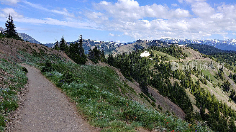 Hurricane Hill Hike, Snowcapped Hurrican Ridge, Olympic National Park, Washington